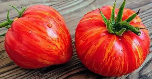 Tomaten: Stony Brook Heart