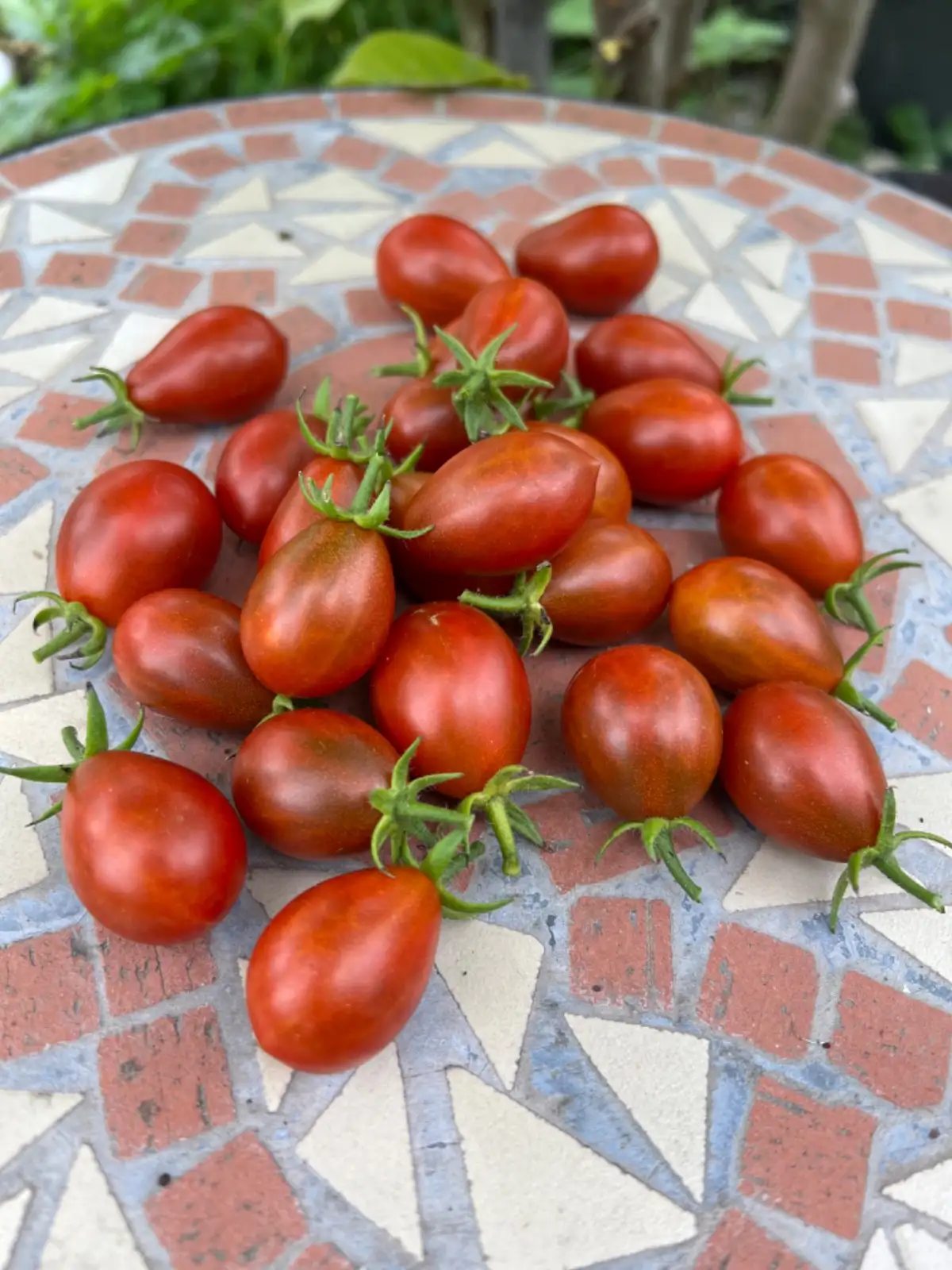 Tomaten: Stormin Norman