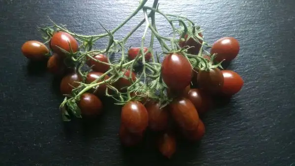 Tomaten: Stormin Norman