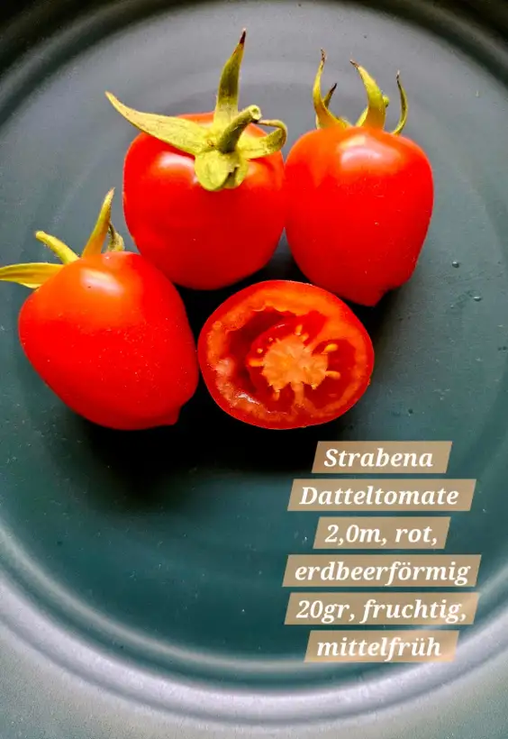 Tomaten: Strabena