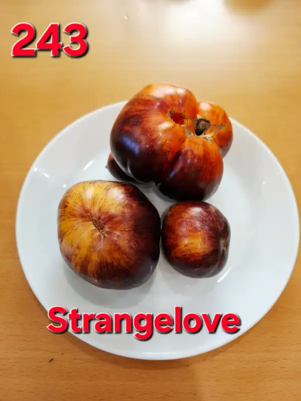 Tomaten: Strangelove