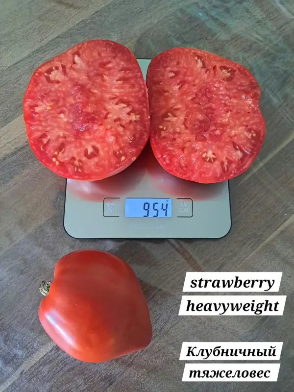 Tomaten: Strawberry Heavyweight