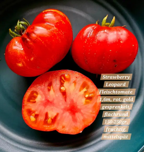 Tomaten: Strawberry Leopard