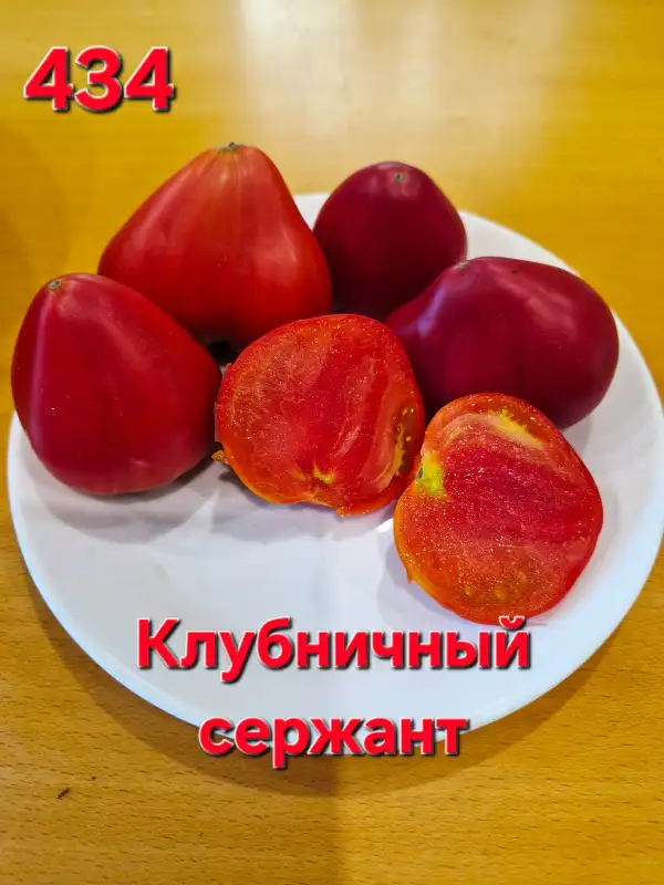 Tomaten: Strawberry sergeant