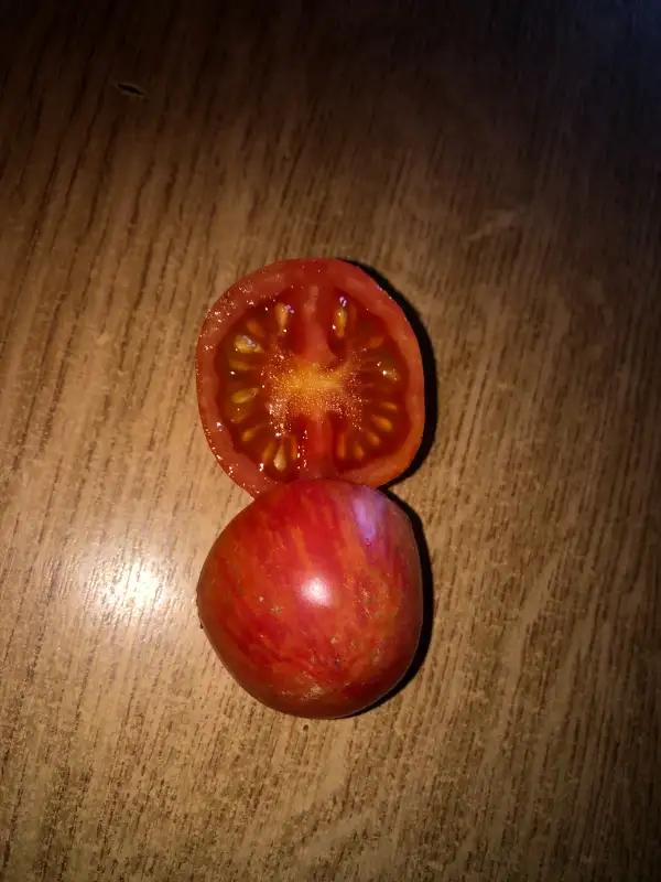 Tomaten: Strawberry Tiger