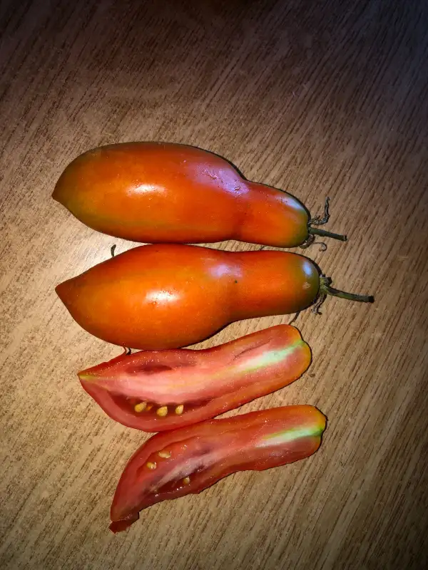 Tomaten: Strelka