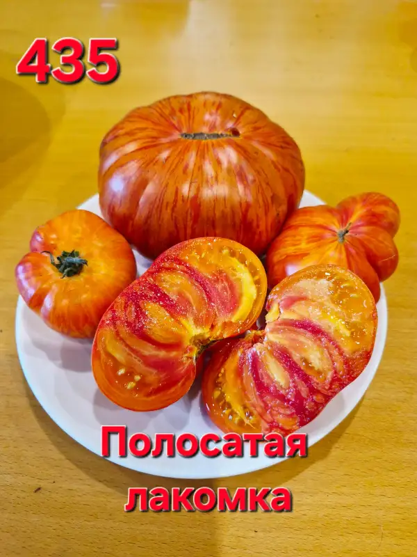 Tomaten: Striped delicacy