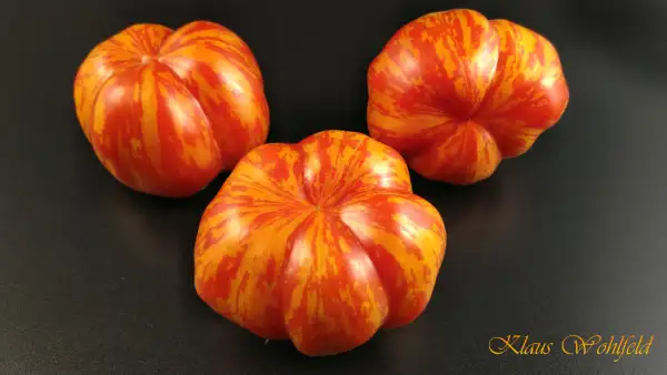Tomaten: Striped Stuffer