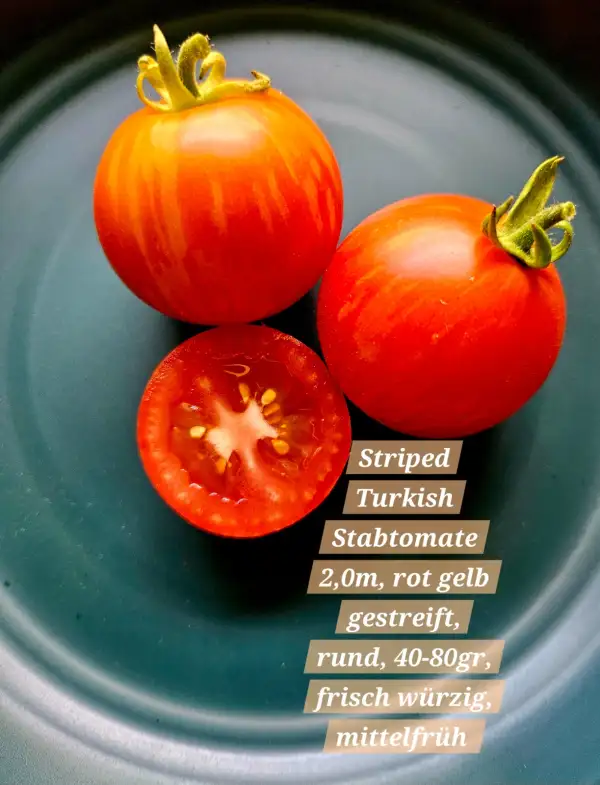 Tomaten: Striped Turkish