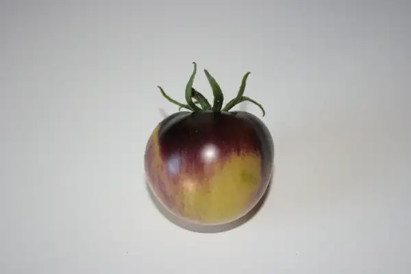 Tomaten: Stripes of Yore
