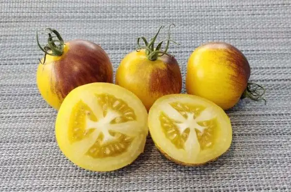 Tomaten: Stripes of Yore