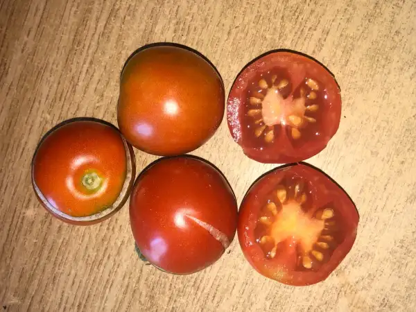 Tomaten: Stupice