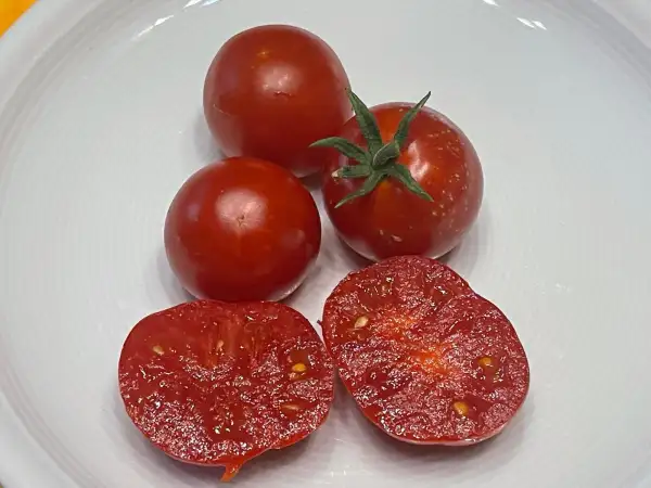 Tomaten: Stupice