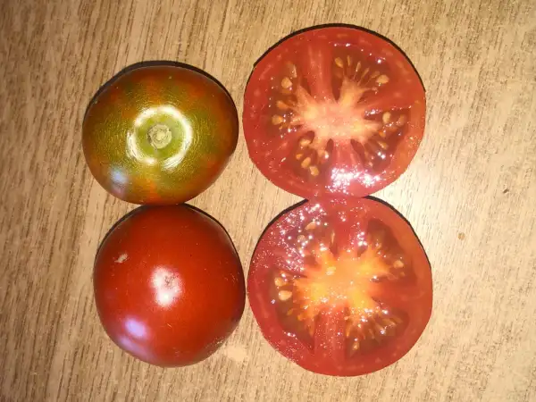 Tomaten: Stupice Rane Polni
