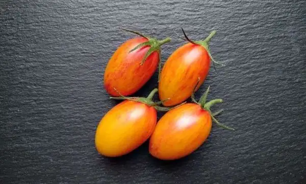 Tomaten: Submarine Blush