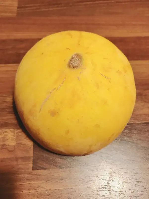 Melonen: Sugar Baby Gold