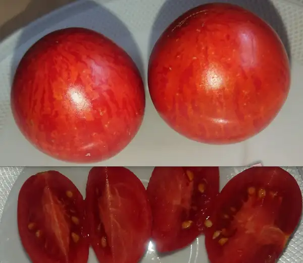 Tomaten: Sugar Plum (dwarf)