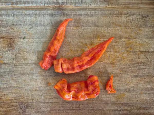 Chili / Paprika: Sugar Rush Stripey Peach