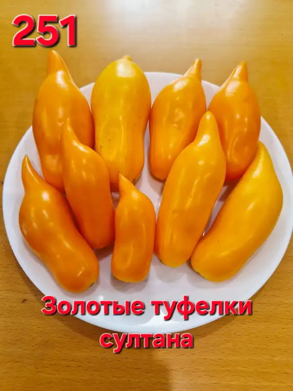 Tomaten: Sultan
