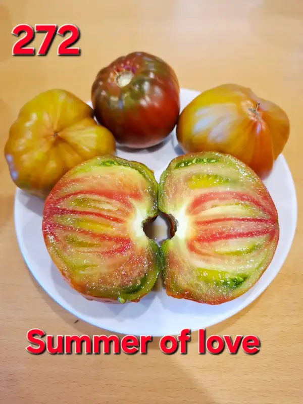 Tomaten: Summer of Love
