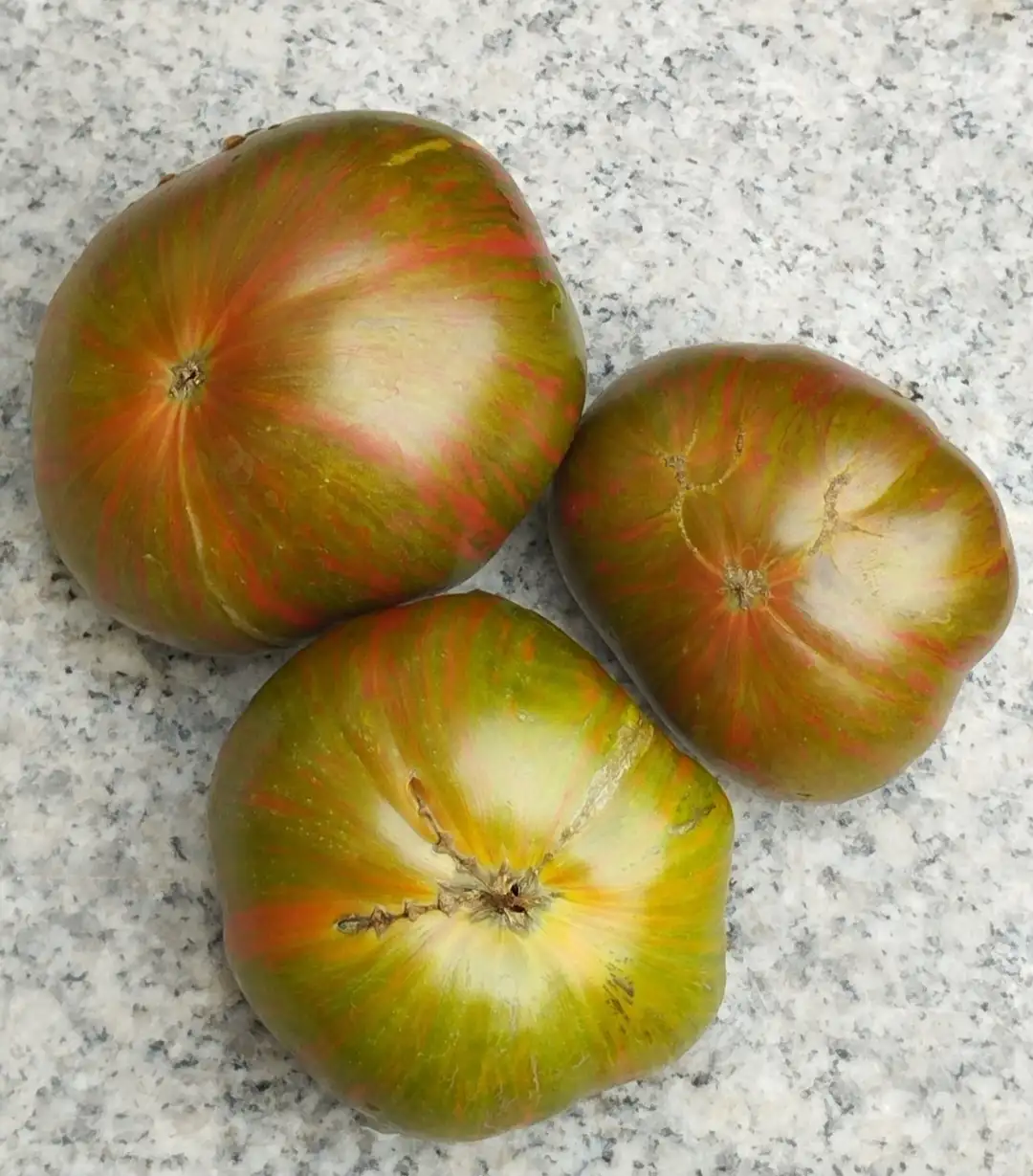 Tomaten: Summer of Love