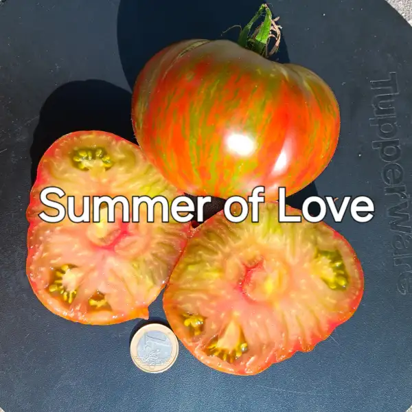 Tomaten: Summer of Love