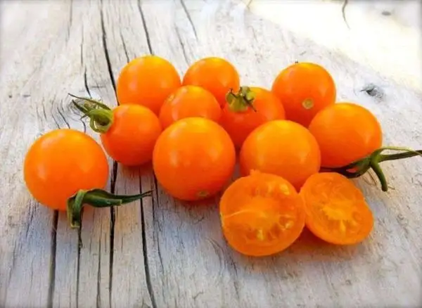 Tomaten: Sungold Select