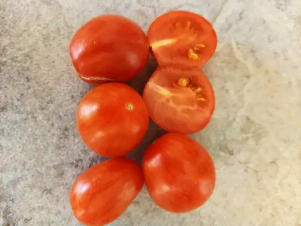 Tomaten: Sunrise Bumblebee