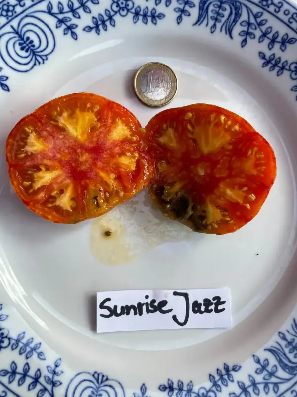 Tomaten: Sunrise Jazz