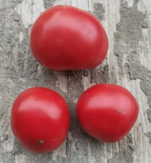 Tomaten: Super Kluscha