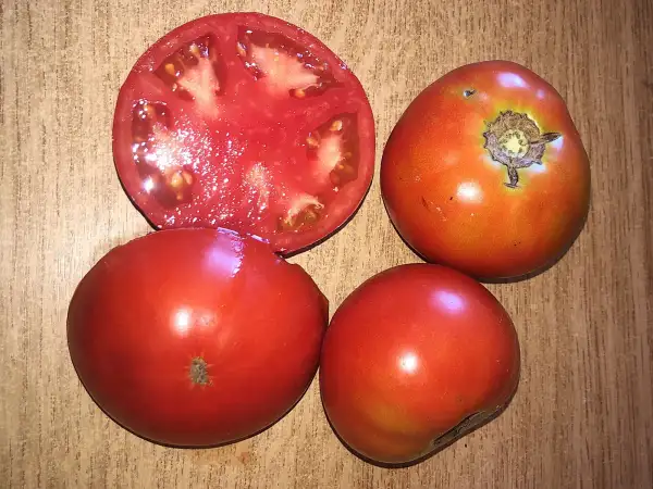 Tomaten: Super Sioux