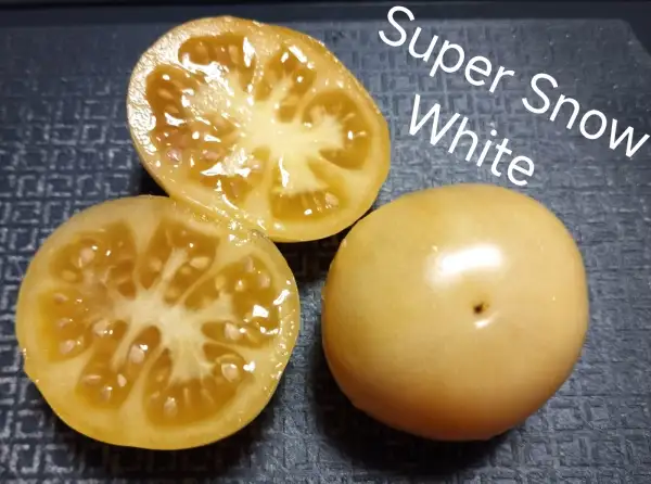 Tomaten: Super Snow White