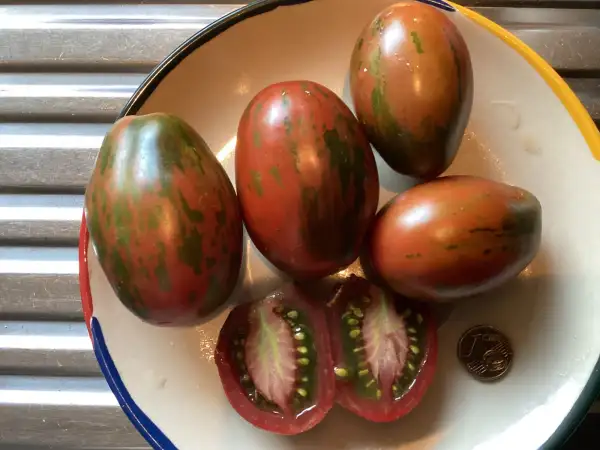 Tomaten: Superexotic