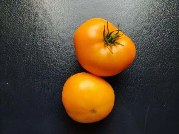 Tomaten: Supernova