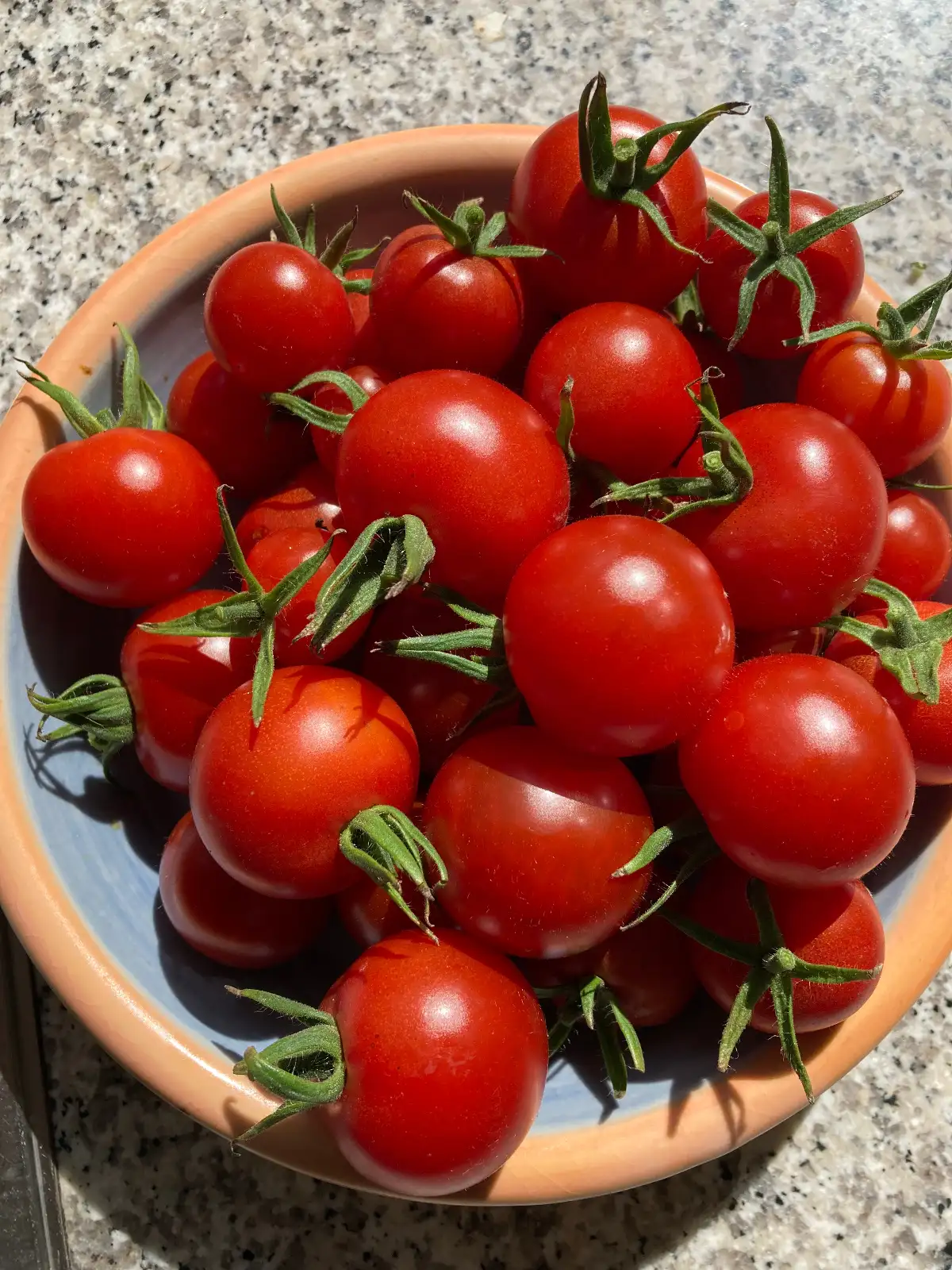 Tomaten: supersüße Cocktailtomaten