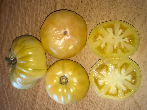 Tomaten: Swan