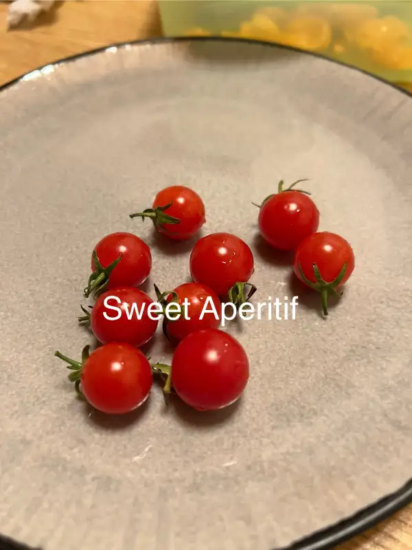 Tomaten: Sweet Aperitif