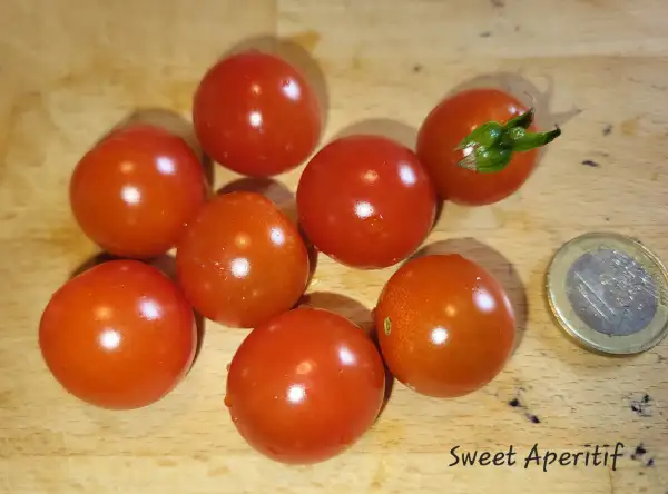 Tomaten: Sweet Aperitif