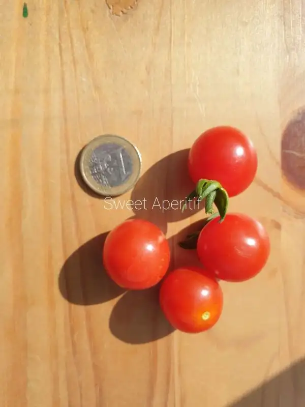 Tomaten: Sweet Aperitif