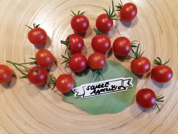 Tomaten: Sweet Apperitiv