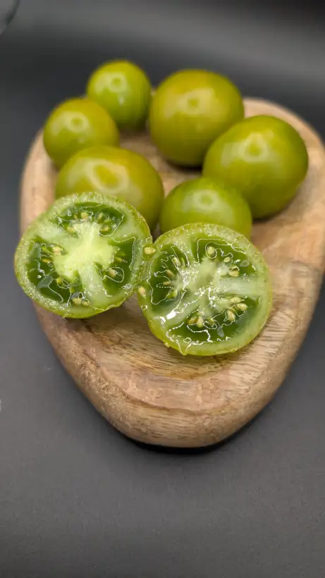 Tomaten: Sweet Baby Jade (Dwarf)