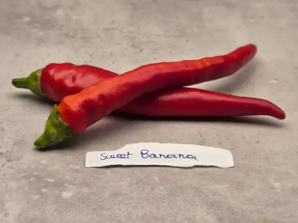 Chili / Paprika: Sweet Banana
