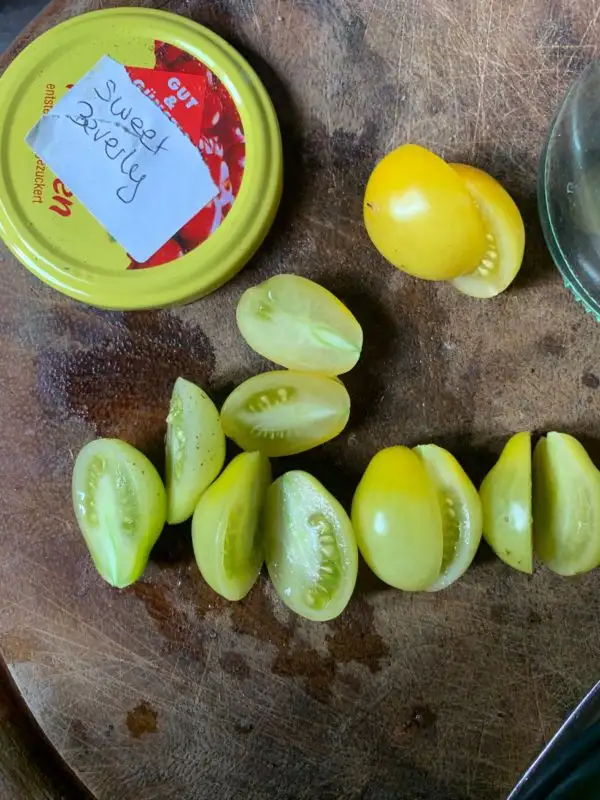 Tomaten: Sweet beverly