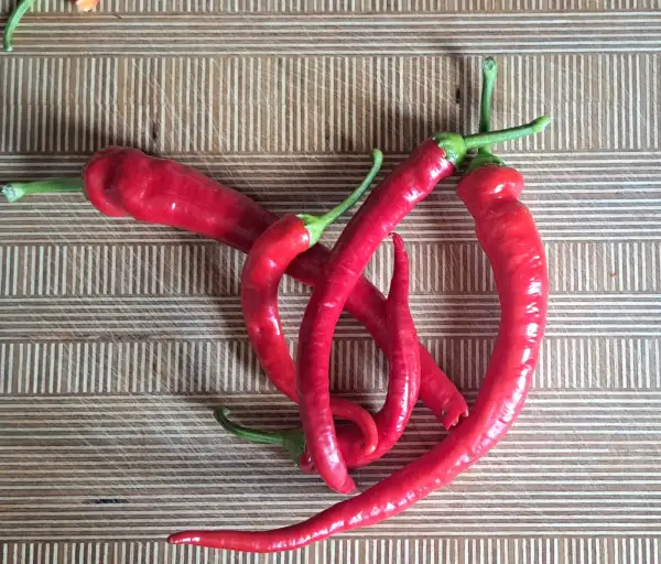 Chili / Paprika: Sweet Cayenne