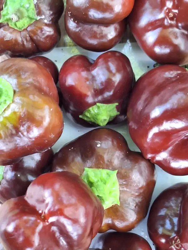 Chili / Paprika: Sweet Chocolate - Parika