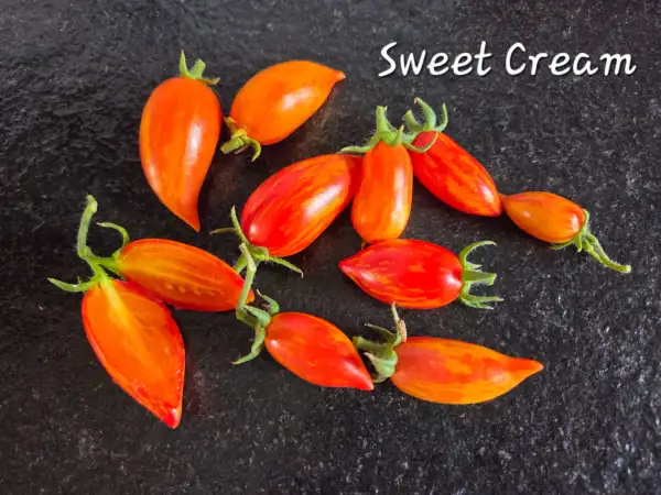 Tomaten: Sweet Cream