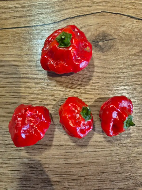 Chili / Paprika: Sweet Habanero