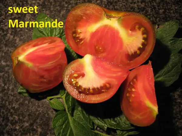 Tomaten: Sweet Marmande