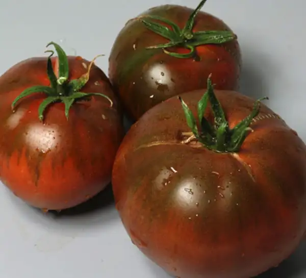 Tomaten: Sweet Marmande