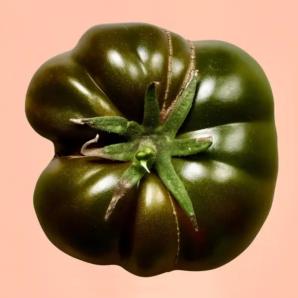 Tomaten: Sweet Marmande
